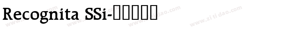 Recognita SSi字体转换